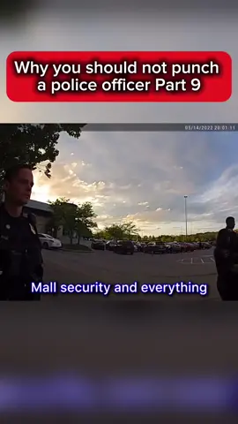 Why you should not punch  a police officer | Part 9 #fyp #cops #police #bodycam #viralbodycam #viral #shocking #stupid 