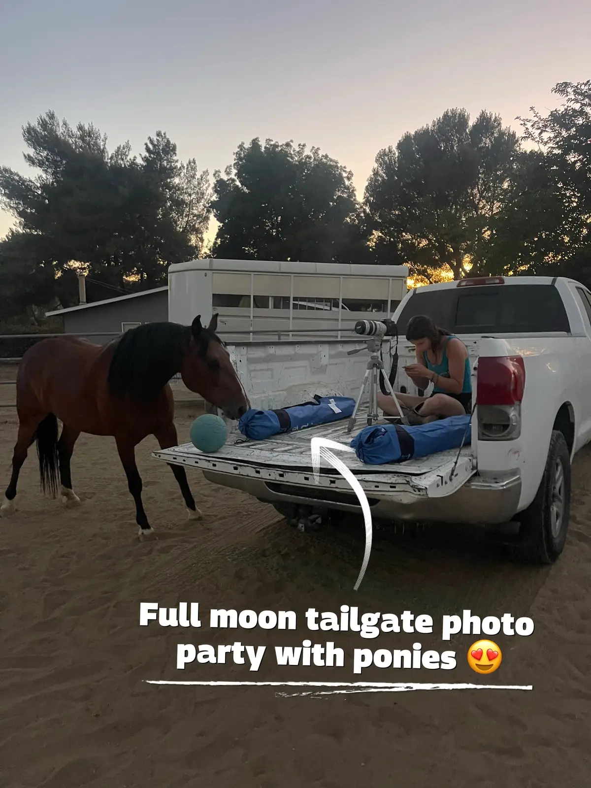 Full moon tailgate photo party with the sounds of the night - horses munching on hay, frogs croaking, and the occasional barn owl screeching. Perfection. 💙 #farmanimalsanctuary #fullmoon #buckmoon