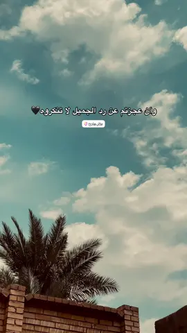 وأن عجزتم…..#تصويري_احترافي_الاجواء👌🏻🕊😴 #تصميم_فيديوهات🎶🎤🎬 #عباره_للفيديو🙂💔 #تصويري #📷 