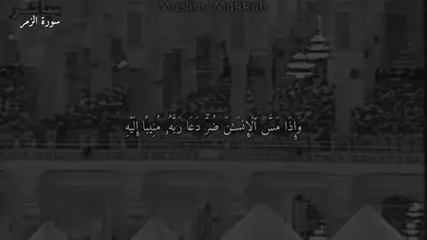 #عبدالرحمن_السديس ❤️❤️