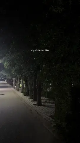 #شط_العرب 