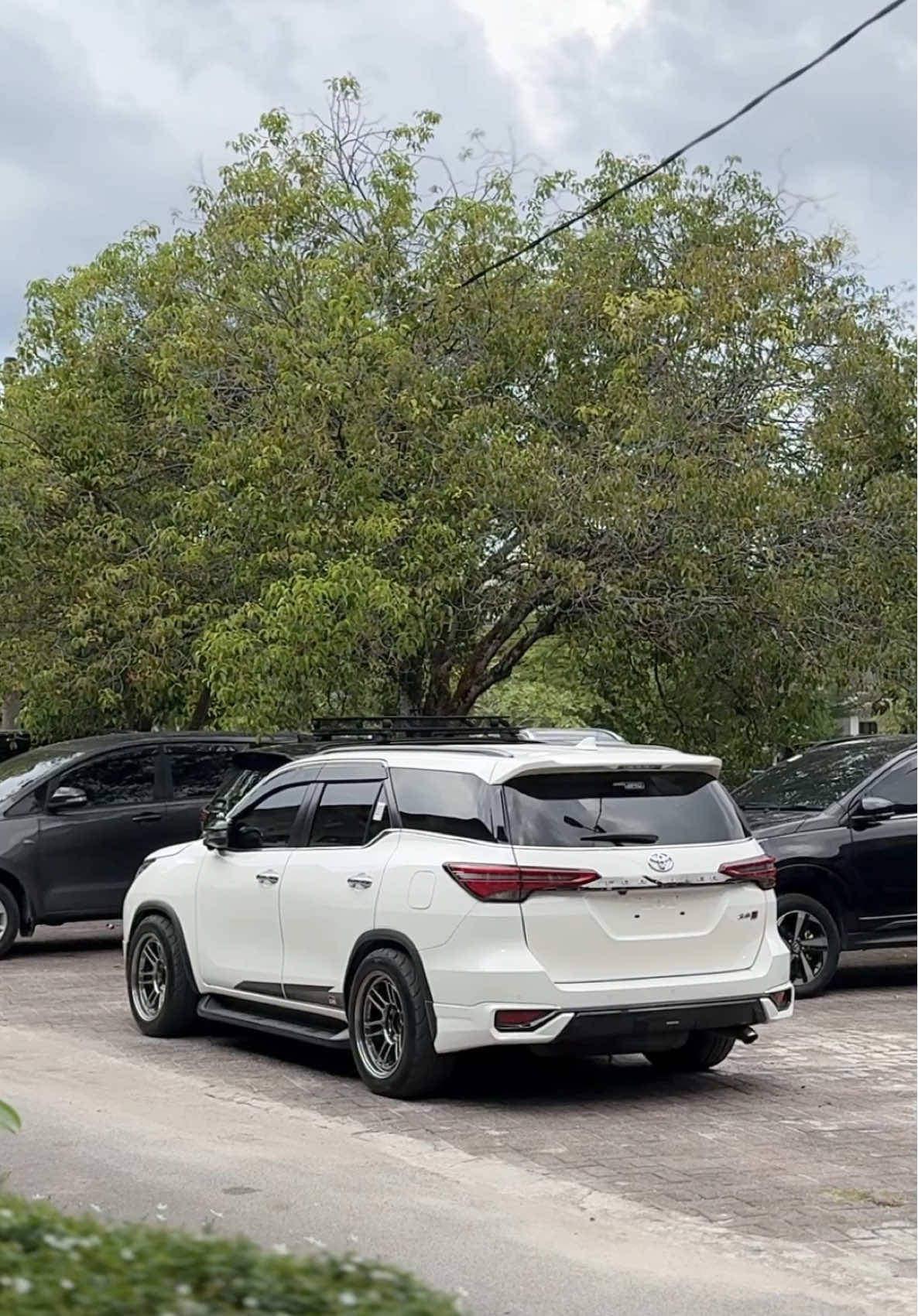 🤍