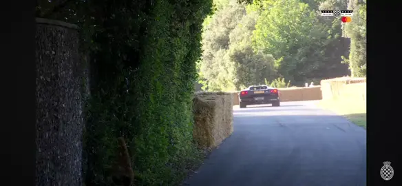 TWR supercat screaming on goodwood festival of speed #videoviral #video #tiktokviral #tik_tok #2025 #fos  #goodwood #goodwoodfos #twr #supercat #v12 #v12sound #puresound #festivalofspeed #festivalofspeed2025 #tiktok 