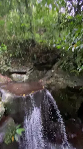 Better than city 🌬️🍃#fyp #nature #falls #consocepcamsur 