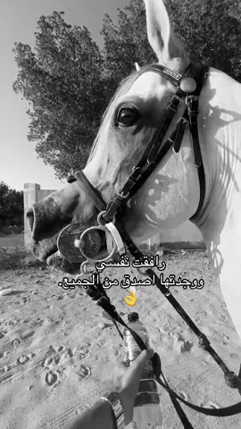 #خيل_وخياله🐎 #خيل_عربي #خيل_وخياله🐎🖤ماشاءالله_اللهم_بارك🧿♥️ #اقتباسات #تصميم_فيديوهات🎶🎤🎬 #تصميمي❤️ #هاشتاقات_تيك_توك_العرب #تيكتوك_عرب #viral #fyp #تيك_توك_اطول #ستوريات #viral #fyp #اقتباسات_عبارات_خواطر🖤🦋❤️ 