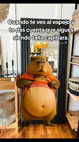 🫠🤭😂#CapCut #MemeCut #Meme 