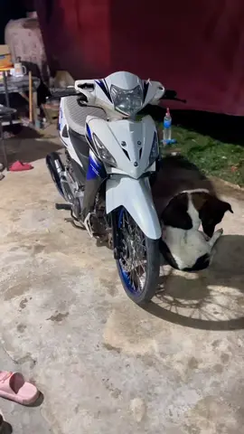 #เวฟ125x #เวฟX #ท้ายบ้านโกดัง🚀 #คุณธนภัทร์🚀 #คาบูก็มีหัวใจ❤ #125 #125cc 