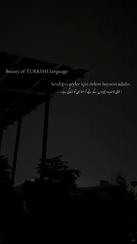 Sevdiğin şeyler için özlem hayatın adıdır. #khijiqureshi #foryou #fyp #trending #viral #multan #sad #turkishseries #turkey #turkish 