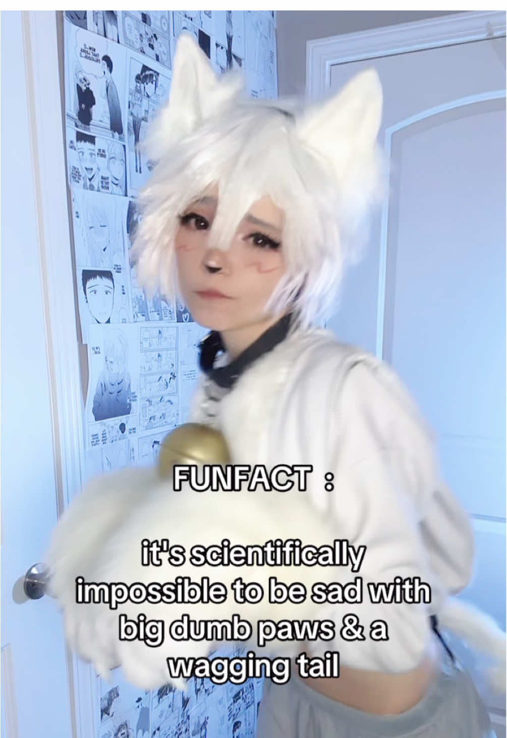 It's true, it works !! ₍₍⚞(˶˃ ꒳ ˂˶)⚟⁾⁾ #cosplay #kemonomimi #catboy #boykisser #boykissercosplay #sillycat #cosplayer #mooimimo #feminineboy #femboy 