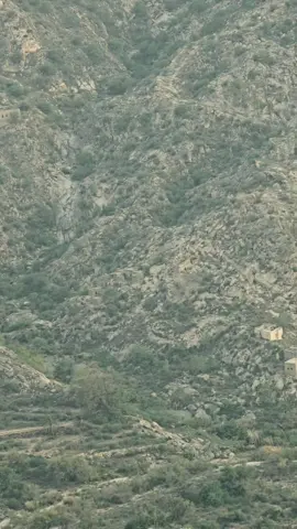 منظر طبيعي جبل قيس#اكسبلور 