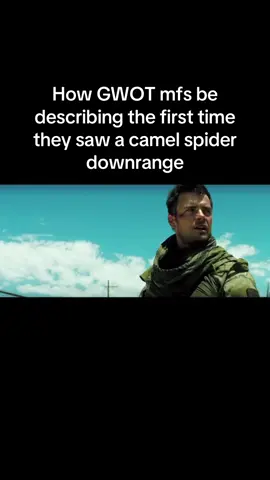 Can’t blame them tho #military #miltok #army #camelspider #gwot #fyp #foryoupage 