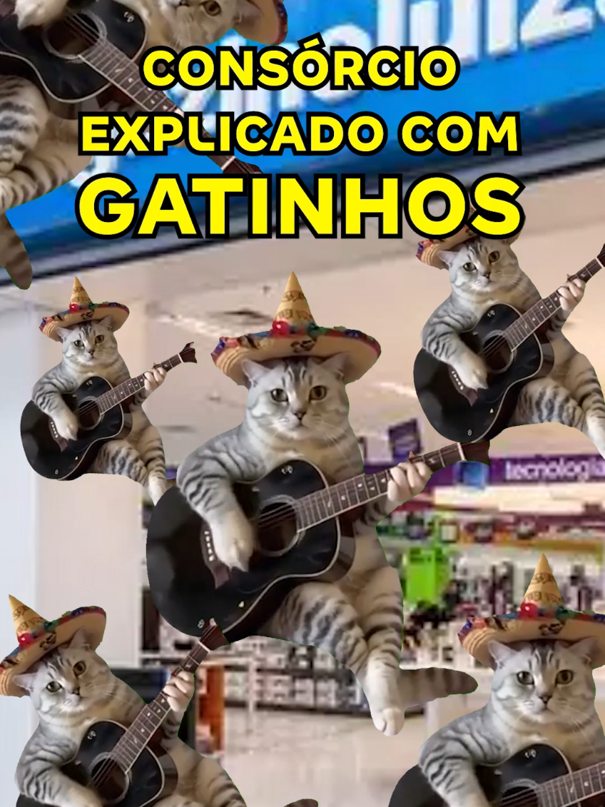🐱 Você trabalha, recebe seu salário… e o dinheiro vai embora rapidinho, né? 😅 Vem entender o consórcio explicado com gatinhos! O Consórcio Magalu pode ser o seu caminho para sair do aluguel de um jeito leve e planejado! Acesse o link na bio e saiba mais! #consorcio #gatinho #gatinhosfofos #consórciomagalu #memestiktok #gatostiktok 