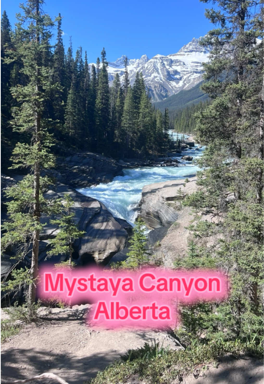 ✨ Petite aventure au Mystaya Canyon aujourd’hui! 😍 Un endroit vraiment surprenant, encore peu connu… et wow 😮 la nature là-bas est juste magique. Des falaises impressionnantes, un petit sentier tranquille, et cette sensation d’être minuscule face à l’immensité 🌄. Si vous aimez les coins un peu cachés, calmes et puissants à la fois, mettez ça sur votre bucket list! 📝 📍 Mystaya Canyon, Alberta 🥾 Pas une grosse rando, mais le décor vaut vraiment le détour! 📸 Et en bonus… zéro foule! Un beau moment pour se ressourcer et reconnecter 💚 #NatureLover #AlbertaTrip #MystayaCanyon #MomentsSauvages 