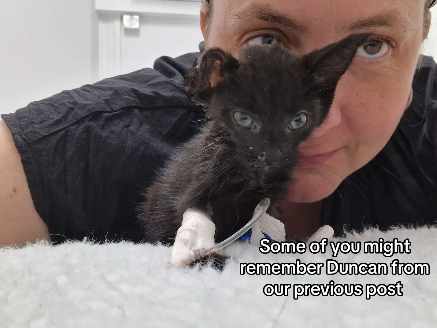 I’m so sorry we couldn’t save you, little man. You did your best and so did we. But this little cat had fought so hard and he couldn’t fight any more.  Rest in Peace, Duncan. We’ll love you forever. And thank you to everyone for their donations and their kind words and well wishes. We don’t know if he’ll ever know how many people were rooting for him, but we can take comfort in the fact that he knew he was loved in his final days. And it spread a lot further than those close to him at Elizabeth Street Veterinary Clinic 🤍