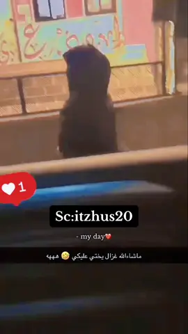 #اكسبلور #foryou #اكسبلورر #اكسبلورexplore #ترند_تيك_توك #ترند_تيك_توك #tiktok #الجادل #fyp #الجادل_القحطاني #السعودية #الرياض #الامارات #قطر #الكويت #ترند #explore #شيهانه #مودل #الشعب_الصيني_ماله_حل😂😂 #الابل 