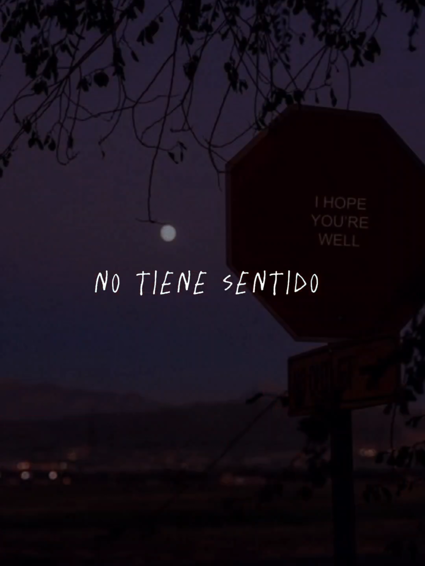 No tiene sentido #notienesentido #beele #beelemusic #lirycs #Amor #pop #musica #rolitas #viral #musicaparastatus #indirectas #ParaTi 