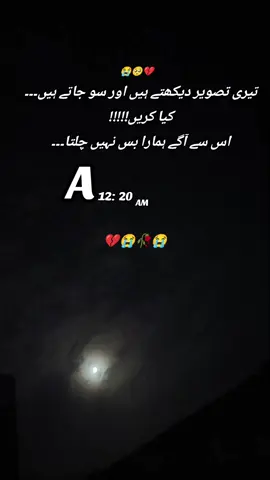 @zidi, girl4t4 