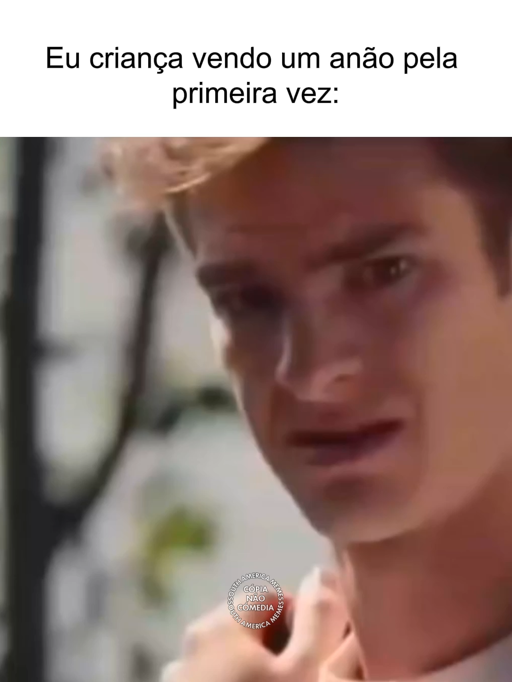 #southamericamemes