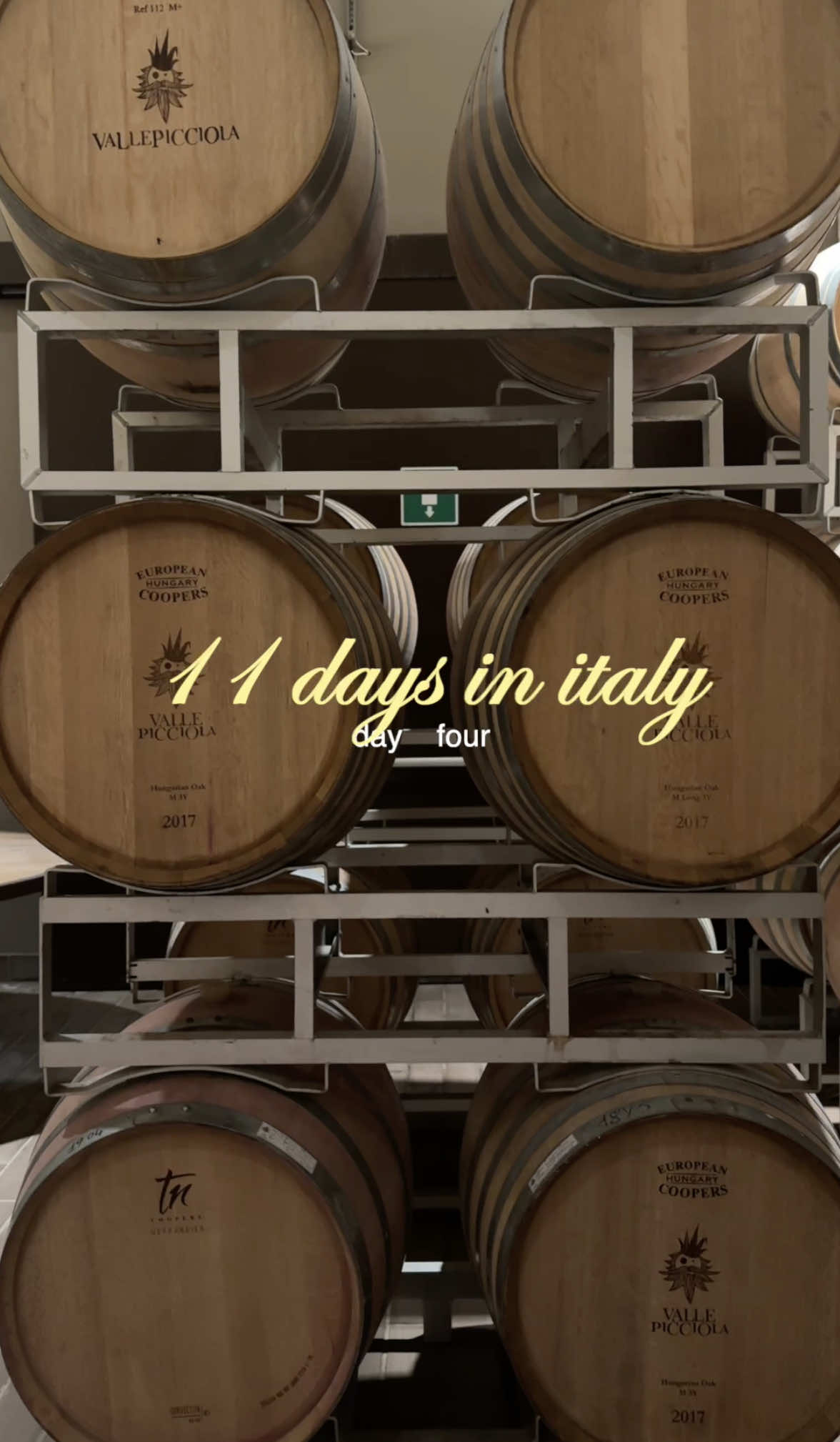 another vlog in italy!! 🇮🇹 this is day 4, which was spent at a wine safari in tuscany. I can’t believe this is my life..?!?!?! #tuscany #tuscanyitaly #creatorsearchinsights #eurosummer #travel #travelgoals 