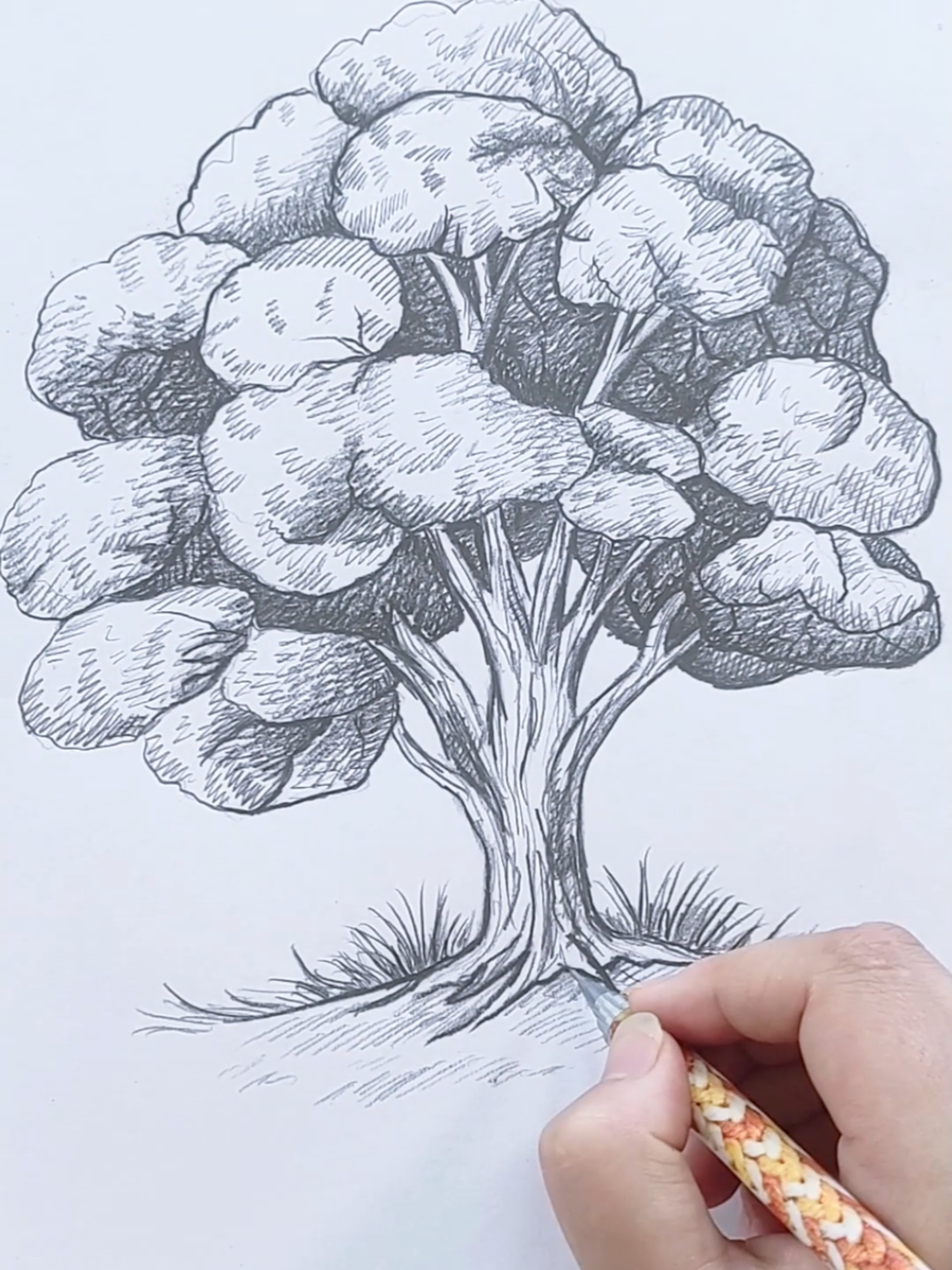 How to Draw a Realistic Tree  Pencil Sketch Tutorial for Beginners