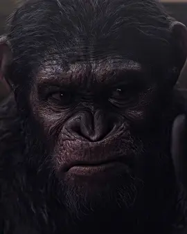 Koba edit pending | Scp:@411scenes |#planetoftheapes #planetoftheapescaesar #planetoftheapesedit #caesaredit #dawnoftheplanetoftheapes #warfortheplanetoftheapes #ae #fyp 