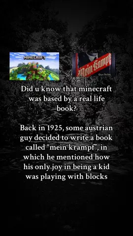 #satire #jokes #fyp #viral #real #ww2history #ww2 #Minecraft 