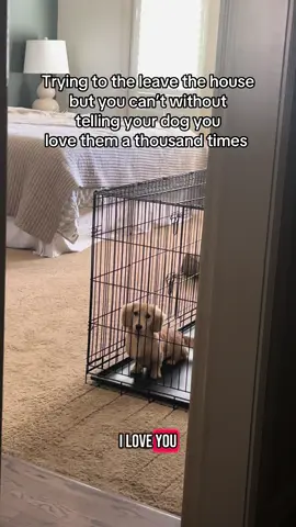 The guilt I feel every time I leave her😭😭😭😭😭😭😭🩷🩷🩷🩷 #fyp #minidachshund #minidachshundpuppy #dachshundsoftiktok 