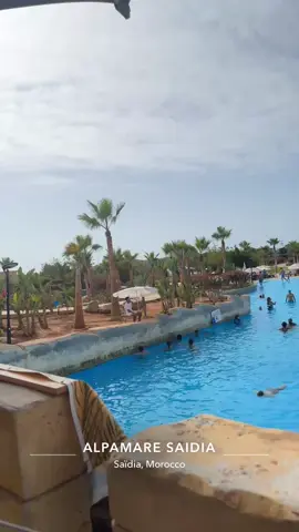 #alpamare #🤍🌊〽️💍 #الشعب_الصيني_ماله_حل😂😂 