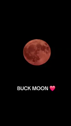#buckmoon #moon #photography #photographer #canada #fyp 