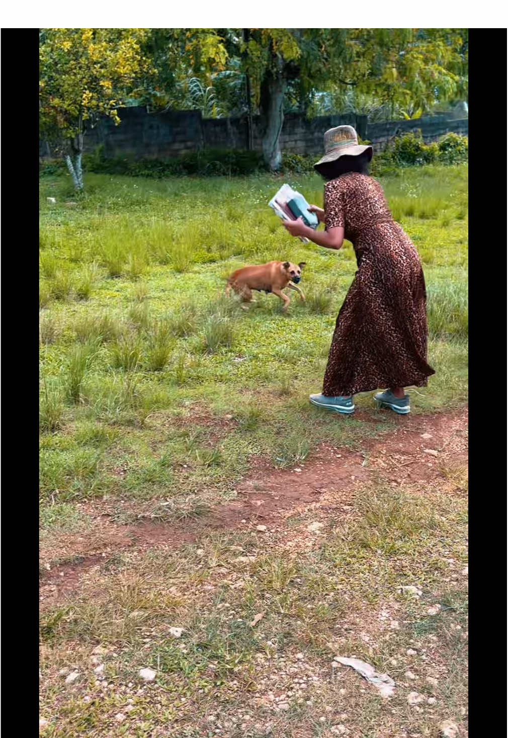 The dogs were payed actors 😂😂😂@queenndaniel #fypp #relatable #jehovahswitness #jamaicantiktok🇯🇲viral #teikaxcel #foryou #justforfun😂😂 