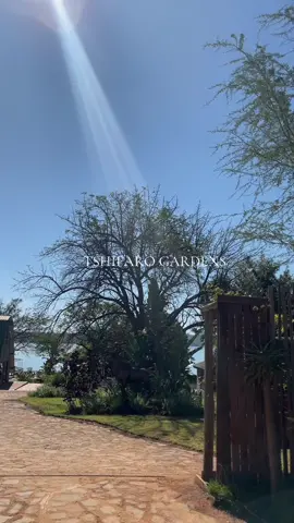 Part 1 of my visit @TSHIFARO GARDENS NANDONI ❤️  Places to visit around Venda ❤️ #tshifaro #nandori #venda #Vlog #fyp #PlacesToVisit #aesthetics 
