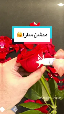 منشنوا سارا 🏃🏻‍♀️@سارا sara @سارا @سارا @سارا 🇸🇦💕 @سارا @سارا 🇹🇳🦋🍉 @سارا ☀️ @سارا @سارا26 @سارا57 @سارا 🇧🇭🇧🇭 @سارا417 #خطي #خط #سارا #الخطاط_وليد_النمي #كتابة_أسماء #كتابة_عالورد #اليمن #السعودية #فلسطين #سوريا #المغرب #مصر #طلباتكم 