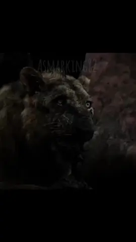 asmar 