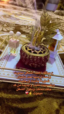 #كاب_كات 
