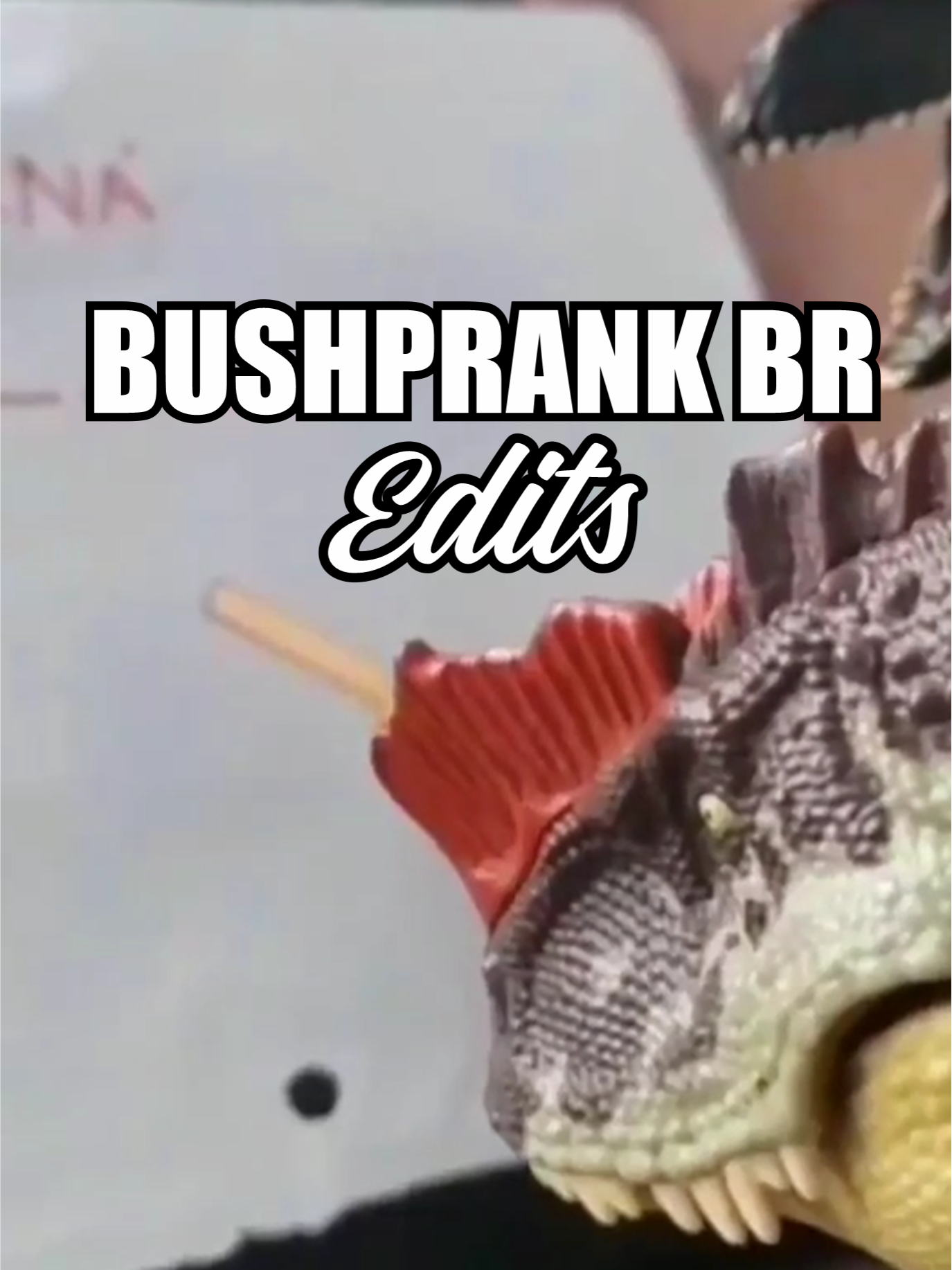 Novidade no canal: Bushprank BR Edits - Edições rápidas de vídeos de humor aleatórios da Internet. E pra estrear, encontrei essa relíquia no canal Universo Jurássico (You tube - Criador: Breno Hack) do qual editei adicionando apenas alguns memes.  Então galera, enquanto um novo vídeo do homem moita estiver sendo produzido (dá muito trabalho, vocês  não tem idéia kkk) estarei postando esses vídeos uma vez ou outra. Curta, compartilhe e favorite, amegans!!   E também não esqueçam de visitar nossa loja ExpressBRshop e seguir os perfis no Instagram e Tiktok, o Link está na Bio!   #pegadinha #humor #engraçado #zoeira #soletreguarana #funny #viral_vídeo #fyp