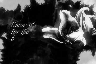 ❄︎ | Waiting Room - Phoebe Bridgers  #lyrics #songs #phoebebridgers 