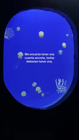 lo mejooor #cuentasecreta #secretaccount 