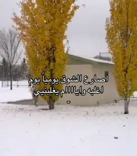 #foryou #fyp #شعر 