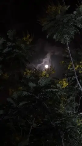 ما أكثرك  في كُل الجهات أنت ..❤️🎼