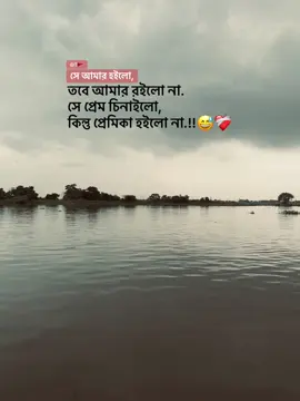 সে আমার হইলো, তবে আমার রইলো না. সে প্রেম চিনাইলো,  কিন্তু প্রেমিকা হইলো না.!!😅❤️‍🩹