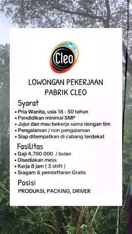 Minat Kerja Silakan Daftar Di WhatsApp HRD yang ada di Bio Profil #lowonganpekerjaan #lokerterbaru #loker2025 #lowongankerja #infoloker #loker #cleo #fyp 