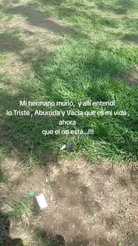 La perdida Física de una persona querida duele en toda el alma, y pocos entiende ese dolor 💔 #viral_video #ftypシ #hermanos 