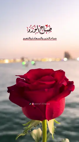 صباح الورد والياسمين والجوري ….. #صباح_الخير #صباح_الورد #صباح 