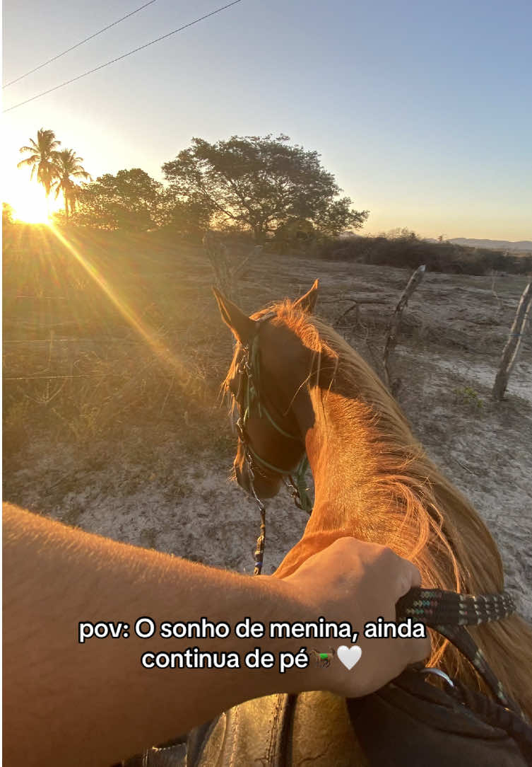 🤍 #foryoupage #cavalo #vaquejada #sonho #videoviral #fypp 