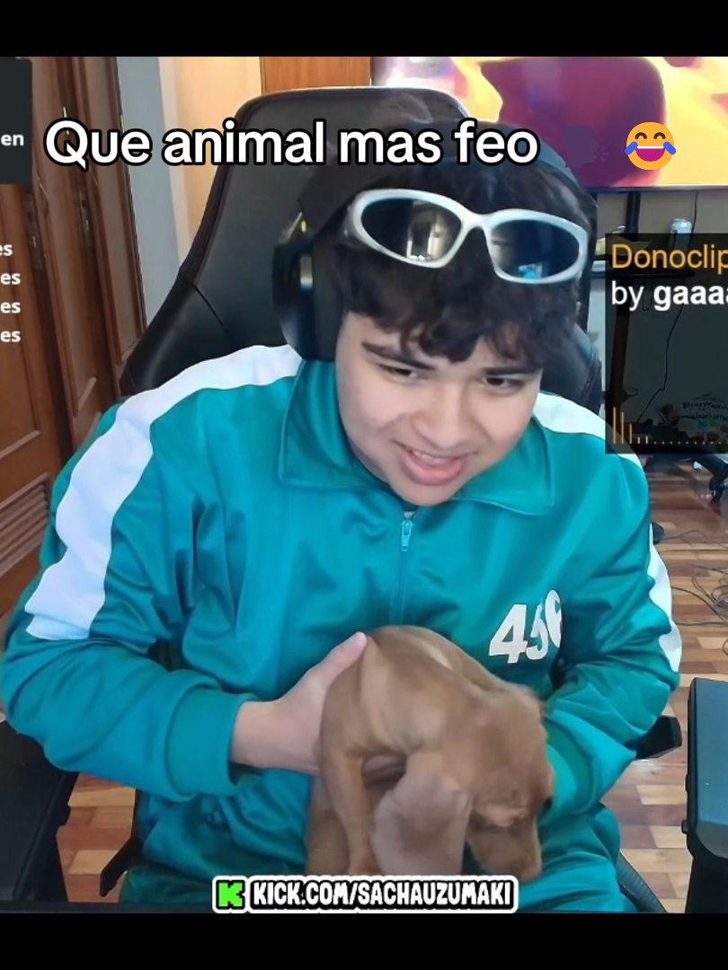 ajajajja frios 😂 #sachauzumaki #sachauzumakiclips #sachauzumakiedits #perro #kickperu #clips #stream #fyp