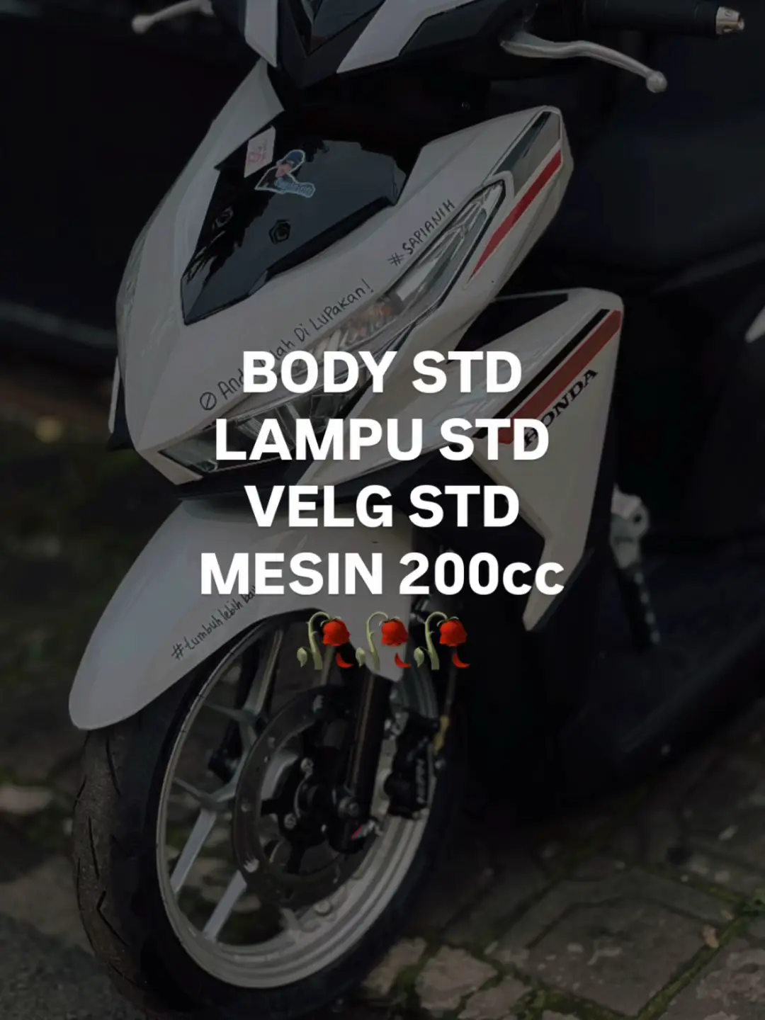 #variofreak #vario #sapianih #varioledold 
