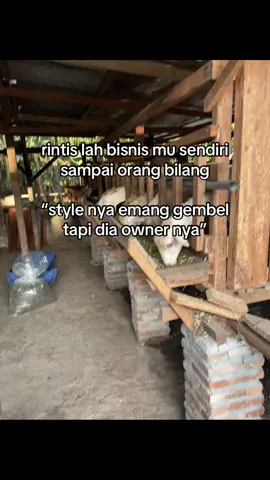 #fyp #peternakmuda #peternakkambing #fypシ゚viral 