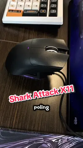 Chuột gaming không dây shark attack x11 #chuotmaytinh #chuotkhongday #chuotgaming #chuotkhongdaysacdien #sharkattack 