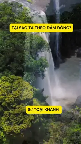Tại sao ta theo đám đông???#DIY #master #buddhism #why #phatphapnhiemmau https://youtube.com/@thichgioiman?si=90su4N432ZE7-nK9