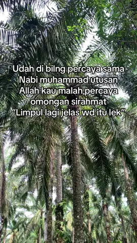 Telungkup la lek